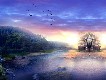 Dreamland Part 2