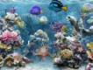 Hidden Stars Aquarium