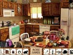Kitchen Cleaning Day