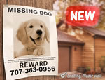 Missing Goldy