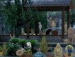 Rainy Days