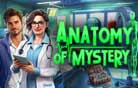 Anatomy of Mystery