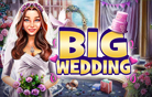 Big Wedding