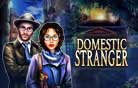 Domestic Stranger