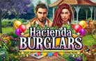 Hacienda Burglars