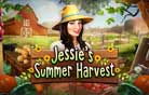 Jessies Summer Harvest