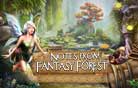 Notes from Fantasy Forest