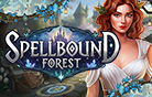 Spellbound Forest 