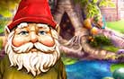 The Curious Gnome