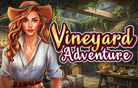 Vineyard Adventure