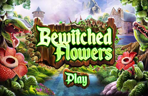 Bewitched Flowers