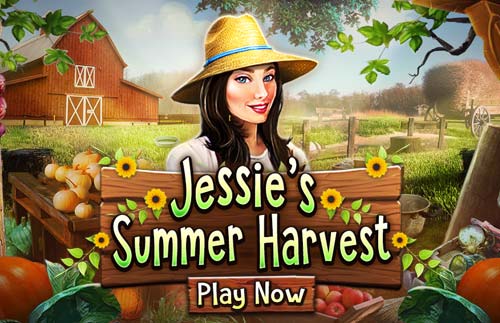 Jessies Summer Harvest