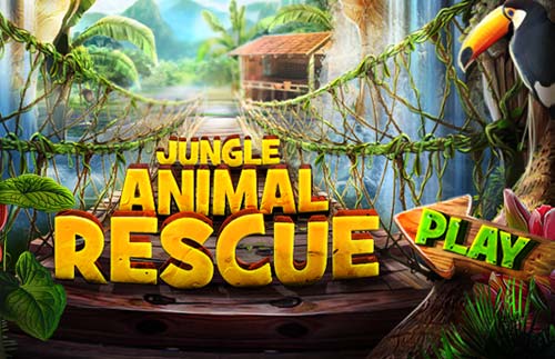 Jungle Animal Rescue