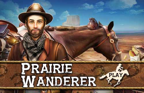 Prairie Wanderer