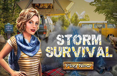 Storm Survival 