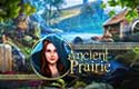 Ancient Prairie