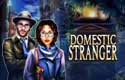 Domestic Stranger