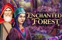 Enchanted Forest