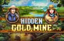 Hidden Gold Mine