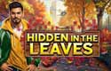 Hidden in the Leaves