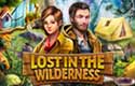 Lost in the Wilderness