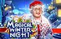 Magical Winter Night