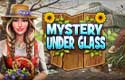 Mystery Under Glass 