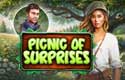 Picnic of Surprises
