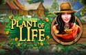 Plant of Life