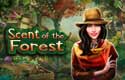 Scent of the Forest
