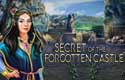 Secret of the Forgotten Castle
