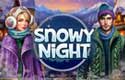 Snowy Night