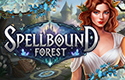 Spellbound Forest 