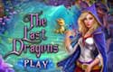 The Last Dragons