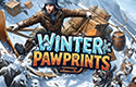 Winter Pawprints